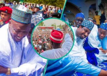 “NNPP Cracks Down: Senator Kawu Sumaila Suspended for Anti-Party Activities”