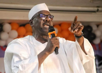 Senator Ndume: Why USAID’s Operations in Nigeria Appear Suspicious