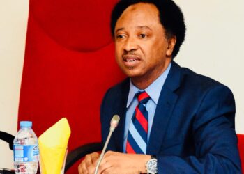 “Shehu Sani Warns: Ukraine to Lose Land to Russia, $500bn Minerals to US Amid War Fallout”