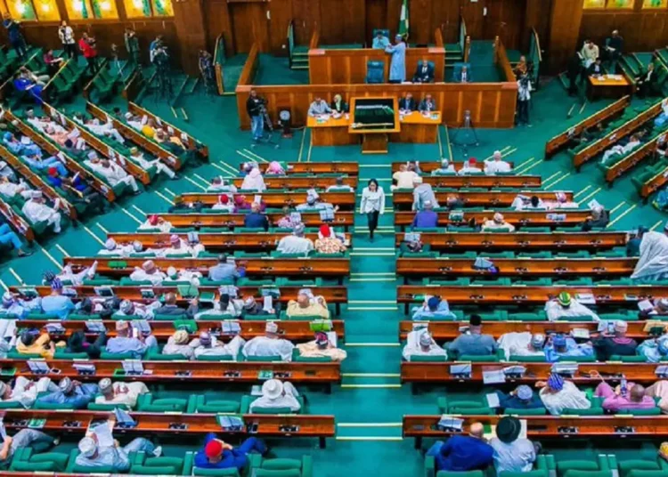 Nigeria Takes a Stand: House of Reps Orders Blocking of All Pornographic Sites