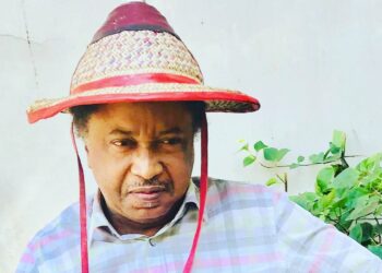 “Requesting a Trillion Naira to Count Nigerians is Madness – Shehu Sani Slams NPC”